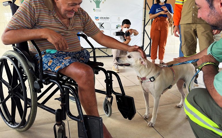 Idosos da Casa dos Velhinhos ganham dia especial em companhia de cães resgatados em Arapiraca