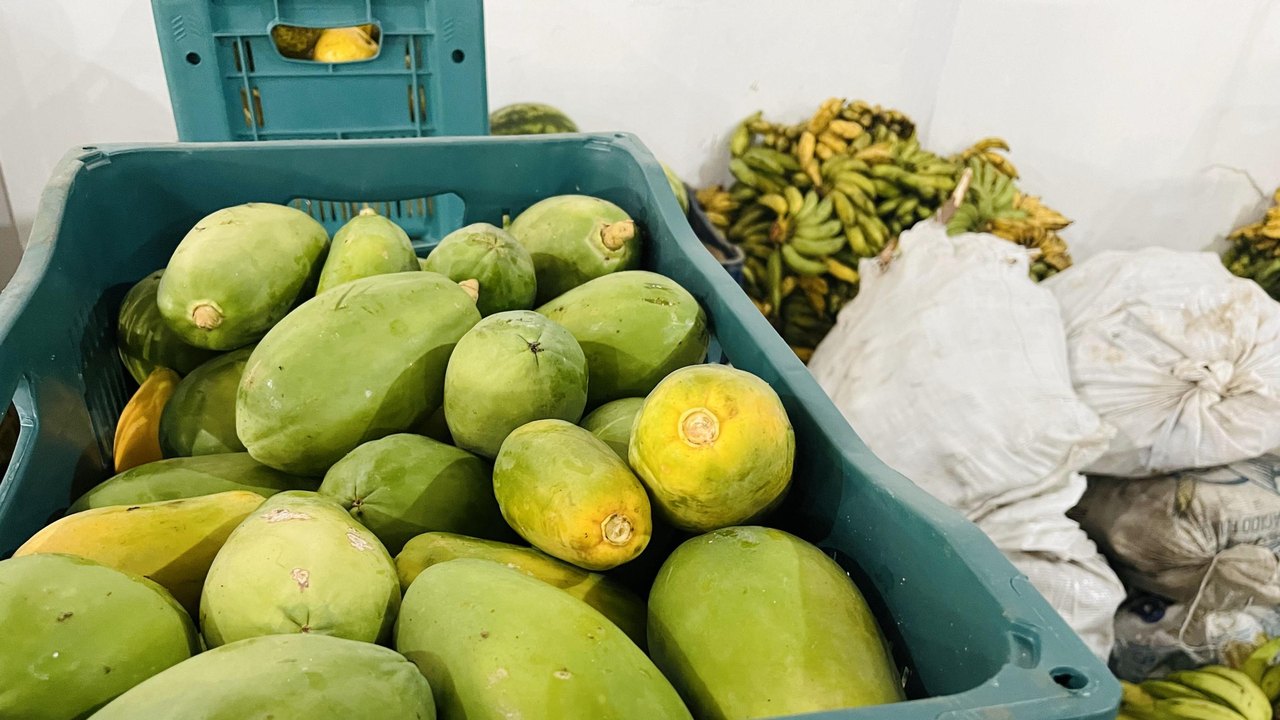Em menos de 10 dias, 115 toneladas de alimentos foram doadas pelo PAA em Alagoas