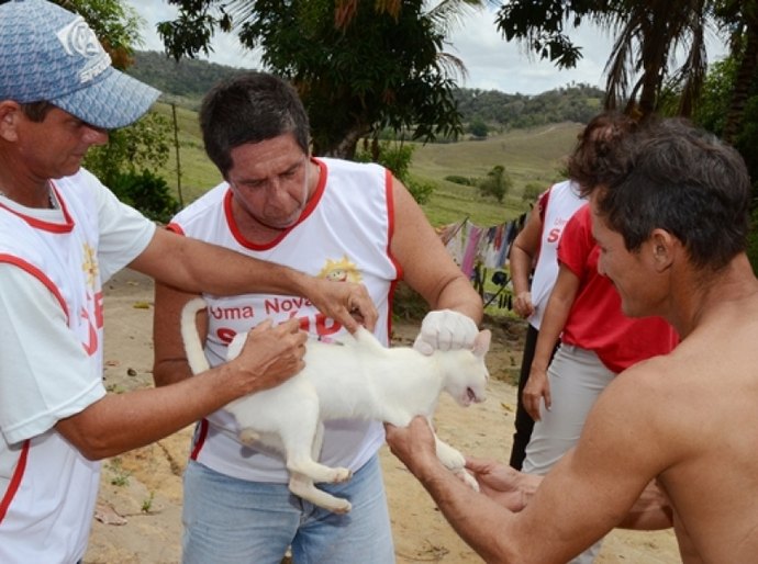 Campanha de vacinação contra a raiva é iniciada em Alagoas