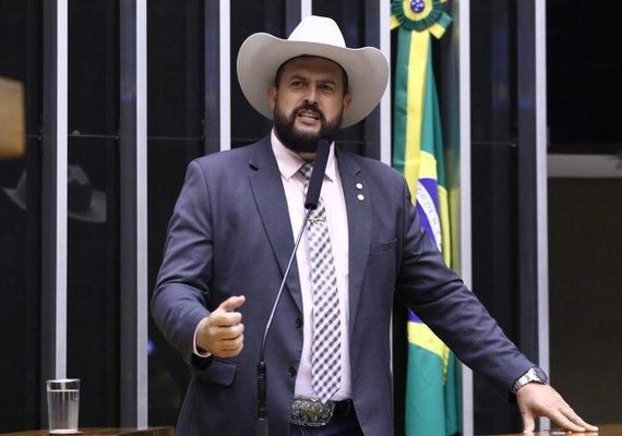 Projeto destina cavalos vítimas de maus-tratos para centros de equoterapia