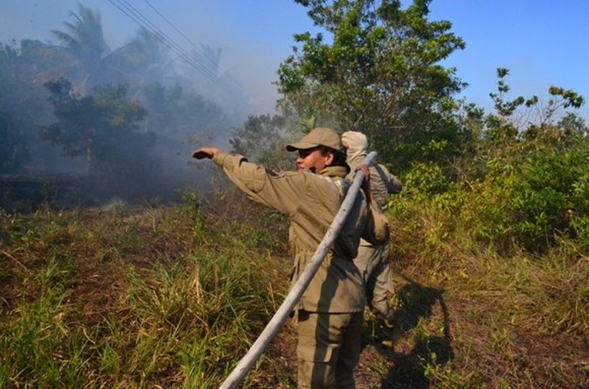 Corpo de Bombeiros debela mais sete focos de incêndio em Maceió