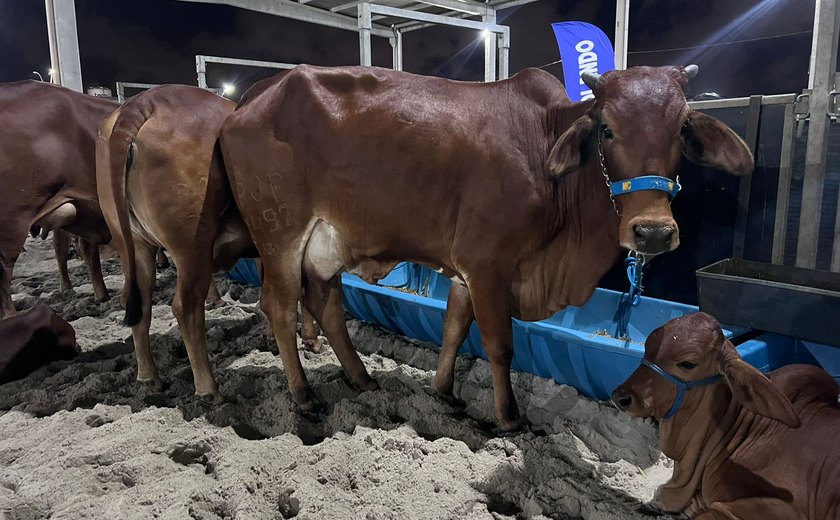 73ª Expoagro/AL começa neste sábado (21) e promete ser maior maior em negócios