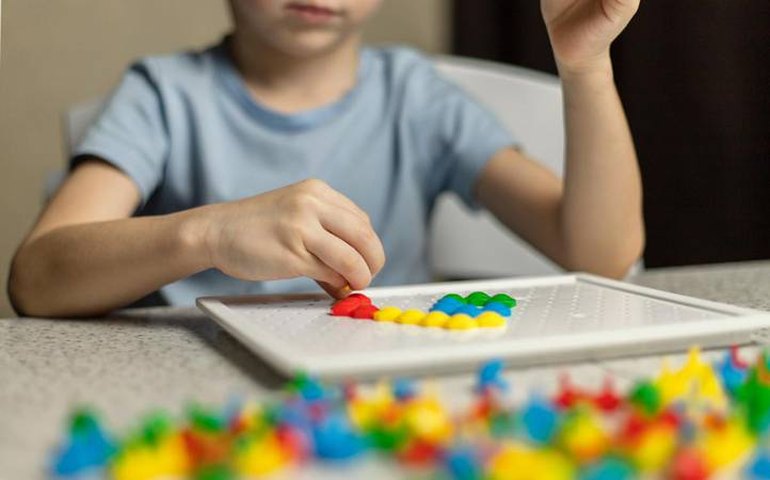 Parecer do Conselho Nacional de Educação sobre aluno autista é questionado em audiência