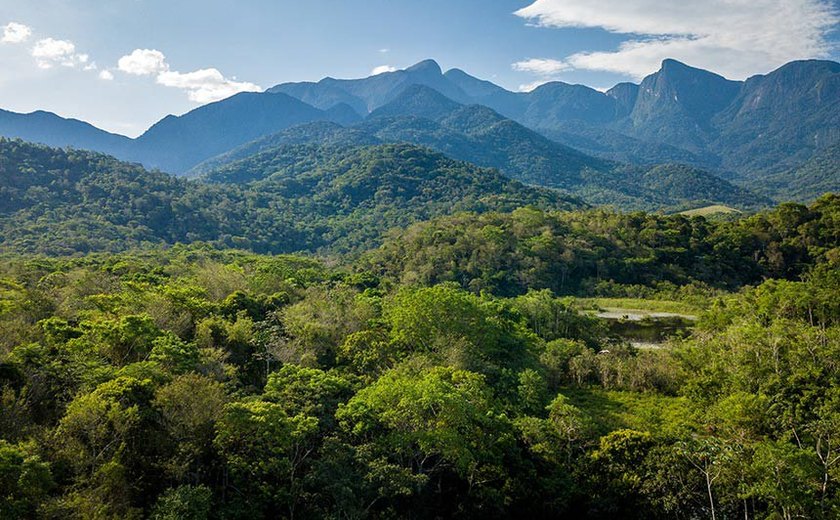 Para preservar Mata Atlântica, projeto cria reserva com 63 municípios de três estados