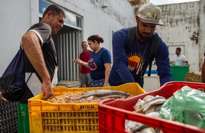 Centro Pesqueiro do Jaraguá está abastecido para o feriadão em Maceió