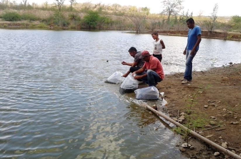 Famílias do Sertão alagoano recebem alevinos para Semana Santa