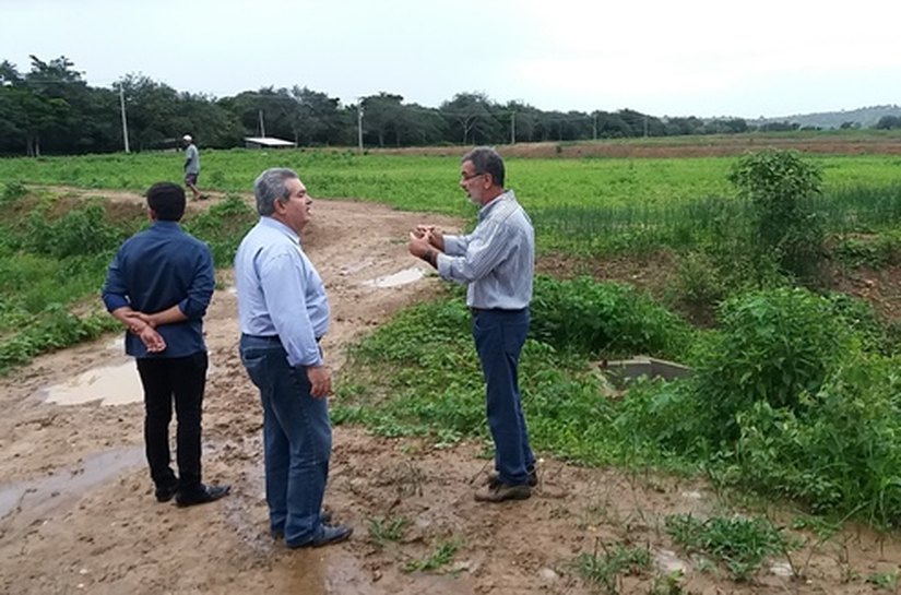 Estado de Alagoas inicia cultivo de camarão marinho em cativeiro
