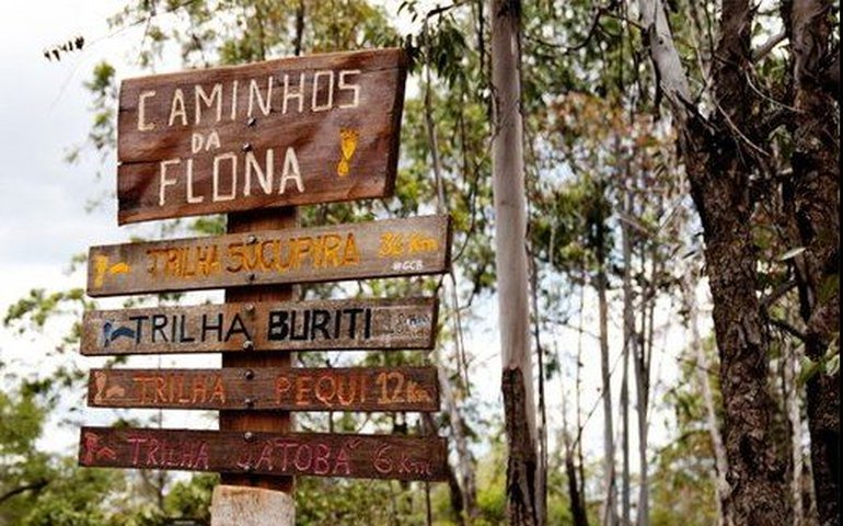 Comissão debate concessão de serviços em unidades de conservação em Brasília