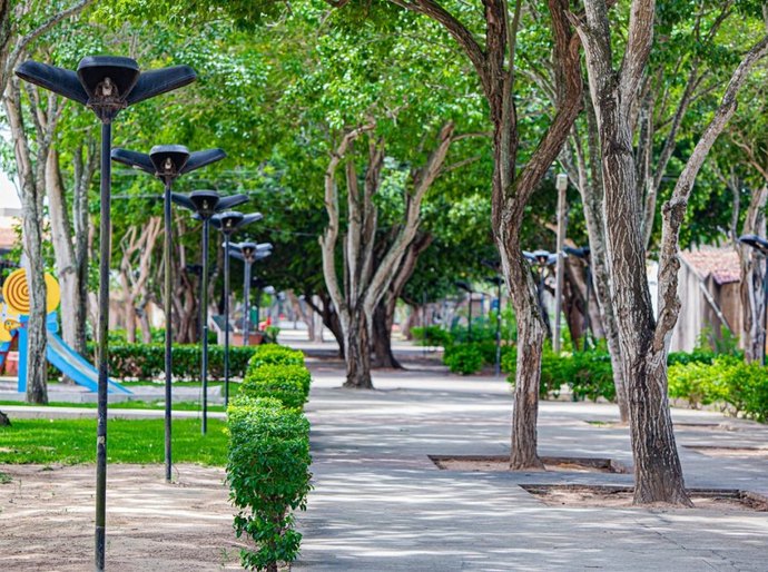 Inscrições abertas: Arapiraca sedia o XI Encontro Nordestino de Arborização Urbana em julho