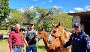Cavalos avaliados em 12 mil reais são resgatados após roubo em Rosário do Catete / Foto: Foto: Reprodução