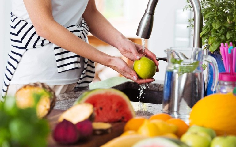 USDA: não há evidência de que alimentos transmitam novo coronavírus