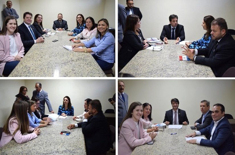 Comissões técnicas da ALE já elegem presidentes e vice-presidentes