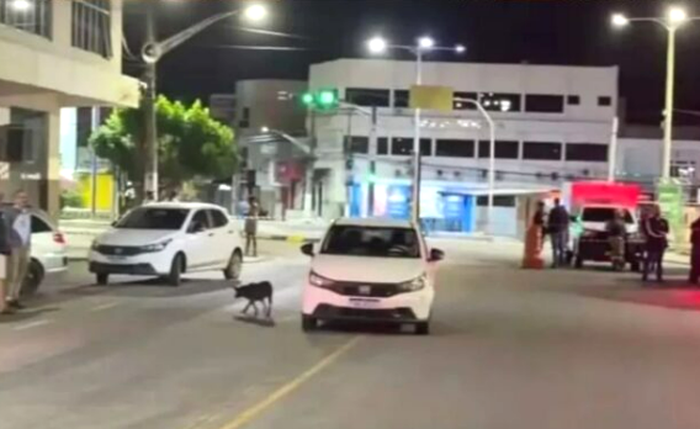 Equipes da Polícia Militar isolaram a área para os primeiros levantamentos