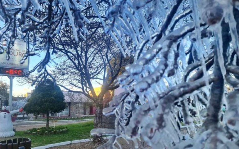 Entra em vigor lei que cria o Roteiro Turístico Caminhos da Neve