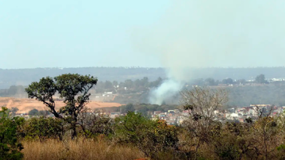 MMA lança edital para arborizar periferia urbana de pequenas cidades