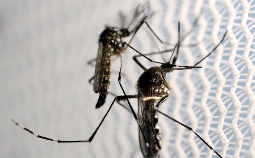 Fiocruz indica pontos de atenção de dengue no Brasil