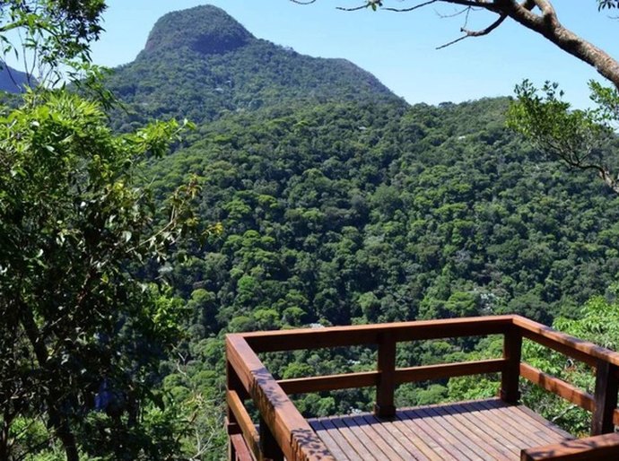Trilhas, mirantes, história e natureza: conheça o Parque Nacional da Tijuca, no RJ