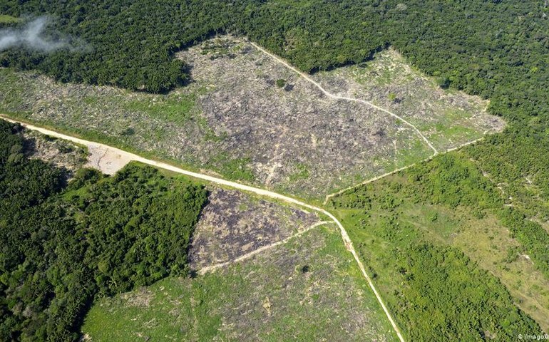 &#8220;Ricos com influência são os que mais desmatam a Amazônia&#8221;