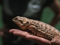 WhatsApp Image 2026-04-22 at 11.09.13.jpeg 