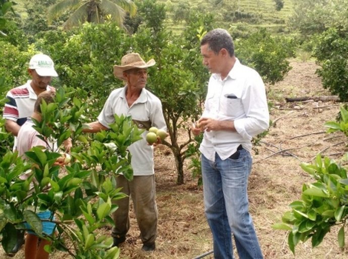Agricultores familiares vão conhecer unidade de fruticultura orgânica