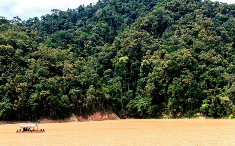 Baseadas em ativos da floresta, startups da Amazônia impulsionam a bioeconomia