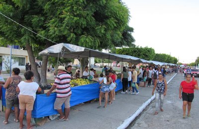 Feira da agricultura familiar é realizada quinzenalmente em Penedo