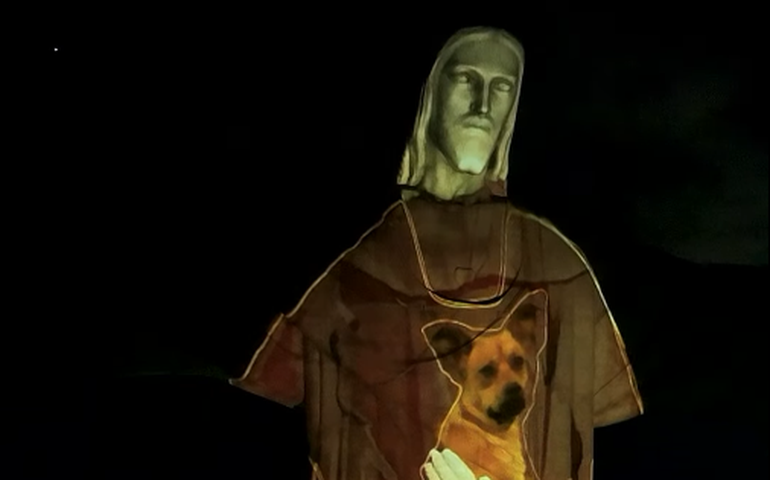 Cristo Redentor abraça vira-lata caramelo para campanha sobre adoção
