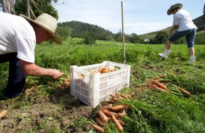 Programa facilitará acesso de agricultores familiares a crédito fundiário 