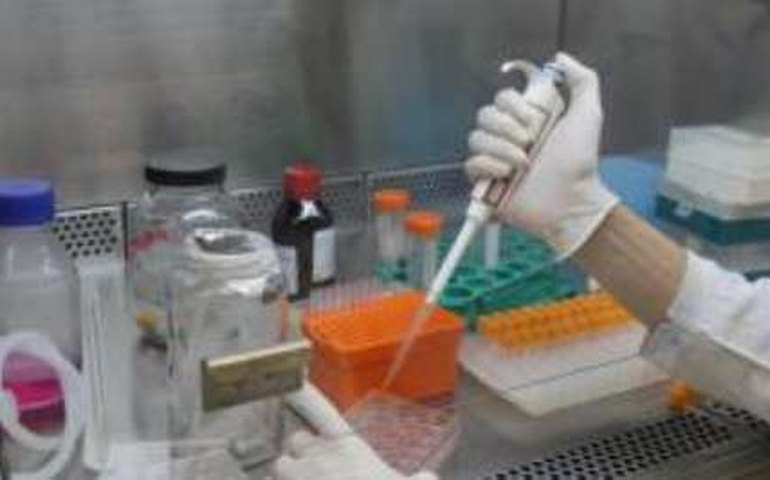 Brasil é vanguarda em pesquisas sobre Zika, diz ministro