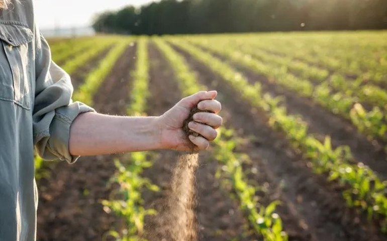 Governo de Alagoas lança Programa Planta Alagoas nesta segunda em Arapiraca
