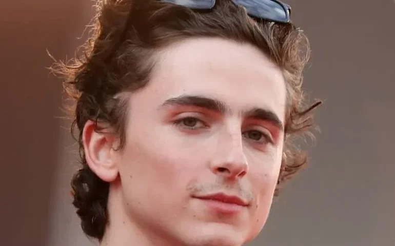 CCXP confirma retorno de Timothée Chalamet e anuncia painel sobre cinebiografia de Chorão