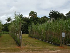 WhatsApp Image 2026-04-30 at 12.57.10.jpeg 