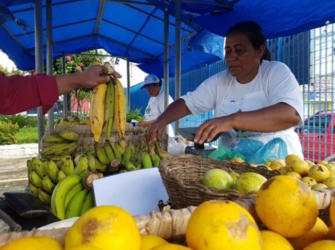Governo promove 4ª edição da Feira Orgânica nesta terça-feira (7)