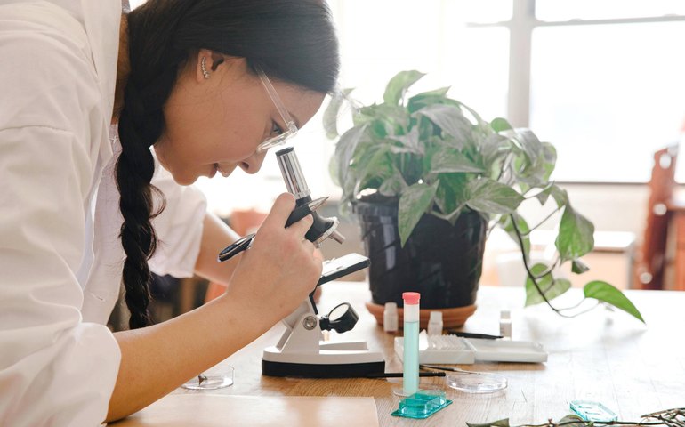 Pibic Jr: Governo de Alagoas investe R$ 6 milhões em iniciação científica e empreendedorismo no Ensino Médio