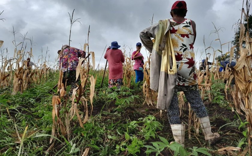 Alagoas teve 79 vítimas de trabalho escravo resgatadas em 2023