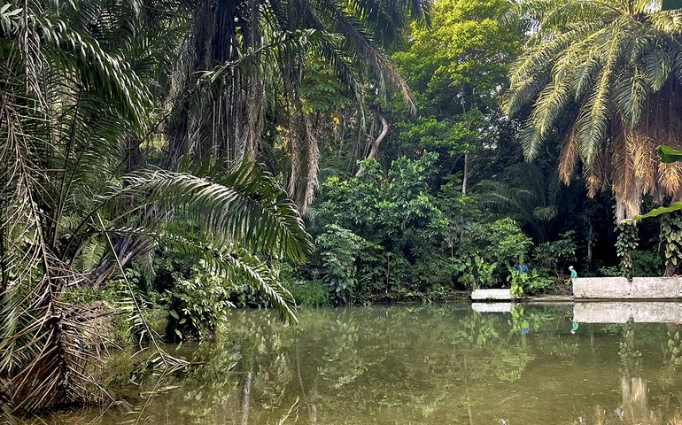 Arapiraca comemora Dia do Ecoturismo com edição especial do City Tour