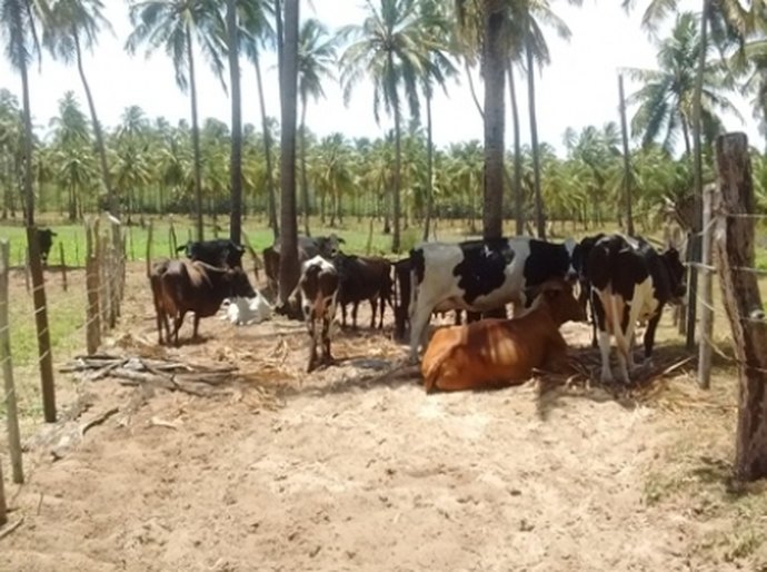 Visita técnica da Desenvolve estimula nova tomada de crédito em Piaçabuçu
