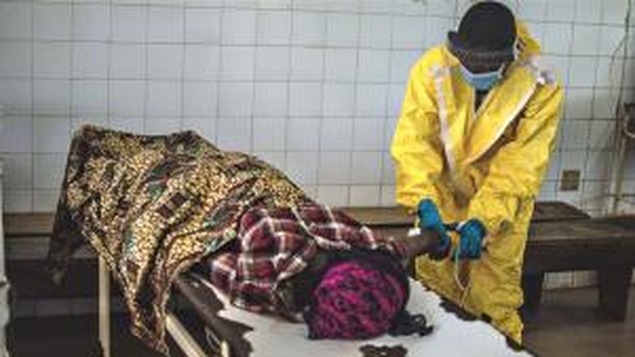 Ebola: Japão está pronto a fornecer medicamento experimental