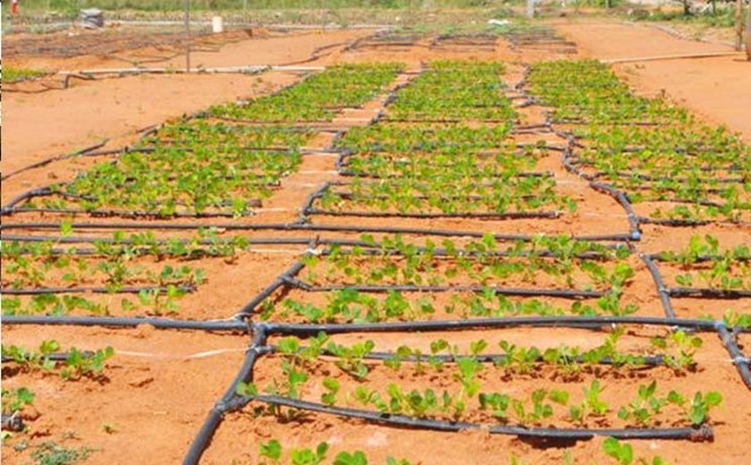 Sistema inovador promete otimizar uso de água para irrigação