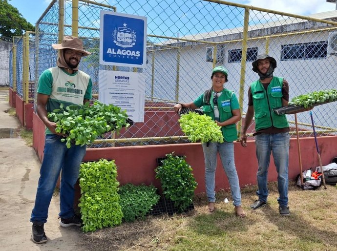 Secretaria de Meio Ambiente implementa duas hortas na Superintendência de Medidas Socioeducativas
