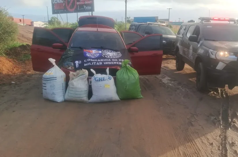 PM prende dois homens e apreende sacos com maconha durante abordagem em São Miguel dos Campos