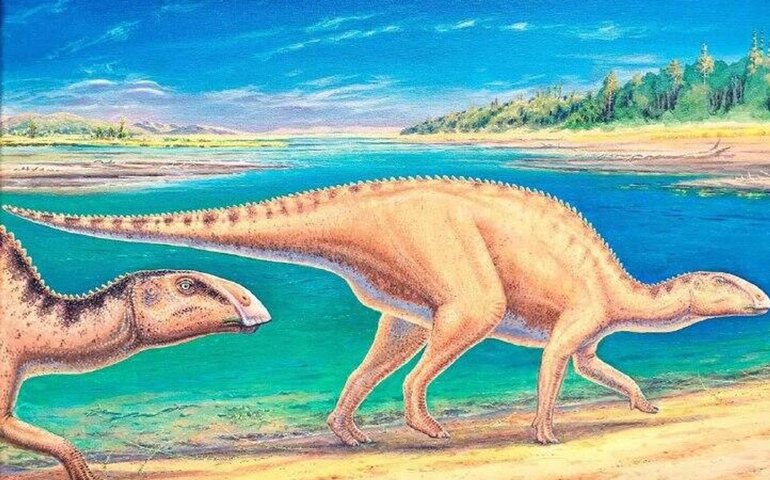 Pegadas de dinossauros de 160 milhões de anos são encontradas no Chile