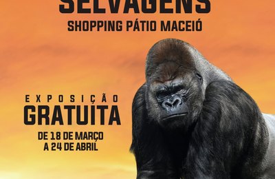 Pátio Maceió convida o público para uma experiência inédita na cidade com os Animais Selvagens