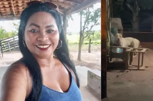 pXl41tnf2nQRsnAC9AFfzWWfby2UzVDKoHdd2zd1