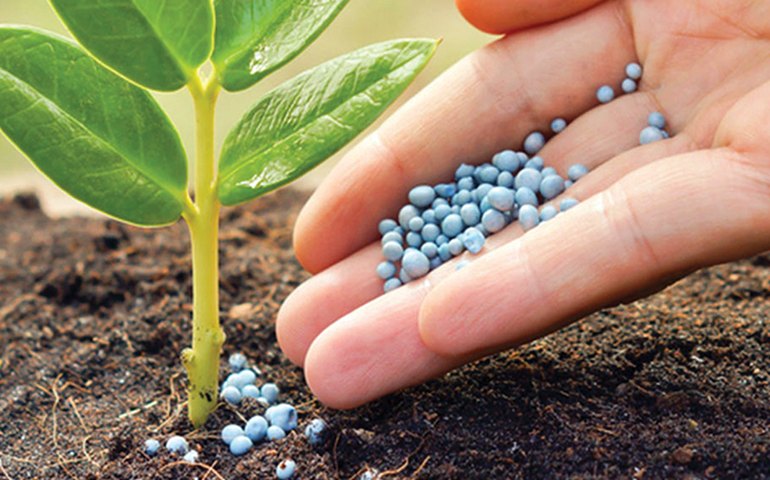 Fertilizante tem alta de 100% e encarece custo