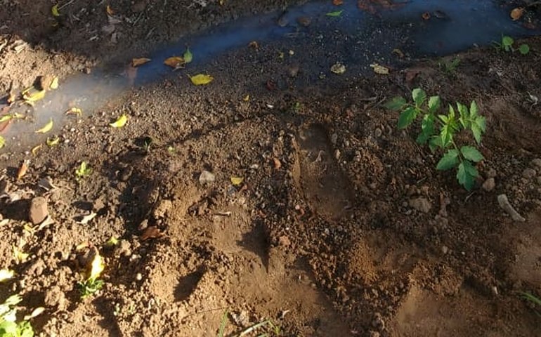Servidor da prefeitura é morto a tiros no bairro de São Cristóvão