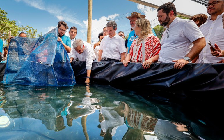 Seris realiza despesca do Projeto Recomeços da oficina de Aquaponia do sistema prisional alagoano