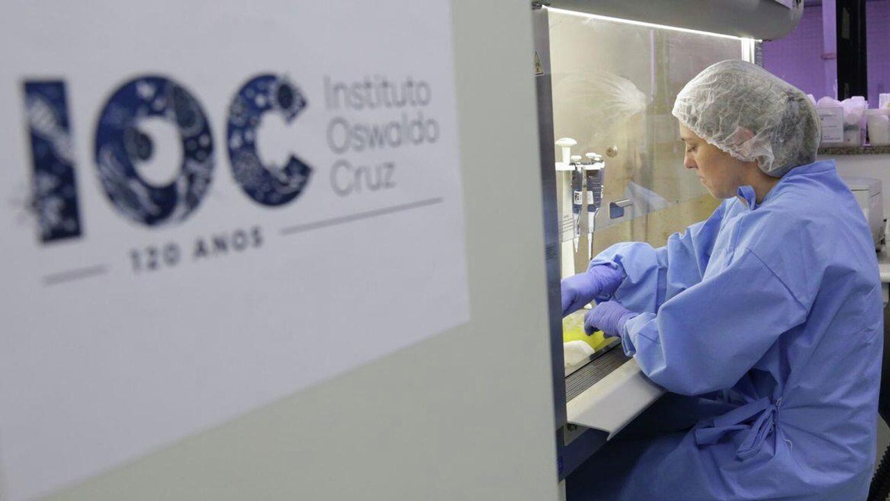 Fiocruz faz campanha para reforçar estoque de sangue no período de férias; saiba como doar