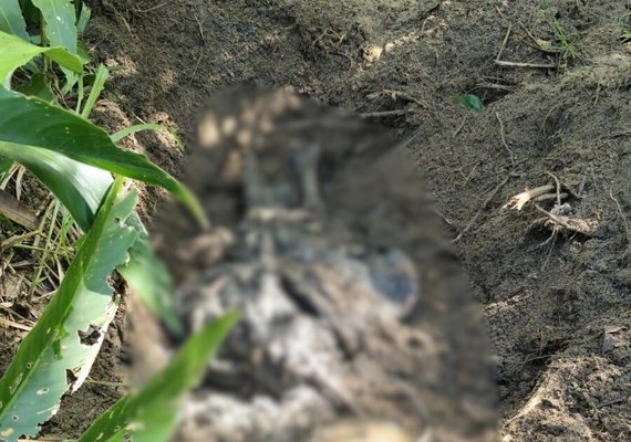 Corpo é encontrado em área de mata em São Miguel dos Milagres