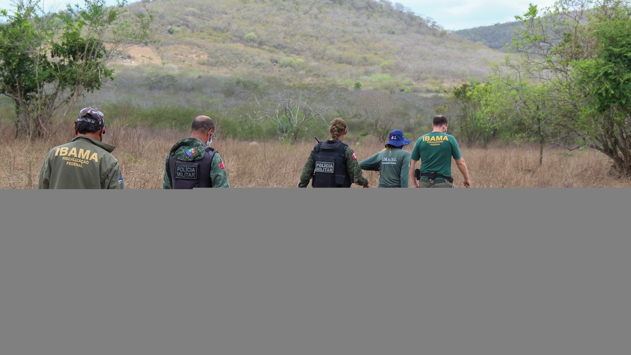 IMA resgata mais de 850 animais em operações conjuntas da mata atlântica à caatinga